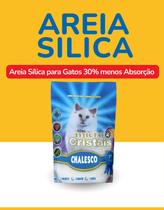 Areia Sílica Chalesco Micro Cristais 30 por cento Menos Absorção LOTE ESPECIAL Areia Sílica Chalesco Micro Cristais 30 por cento Menos Absorção LOTE ESPECIAL