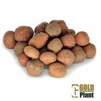 Argila expandida drenagem decoraçao 1 Kg ( 3 Lts ) Gold Plant