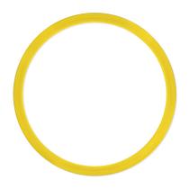 Argola de Agilidade Muvin - Treino Funcional Exercícios Circuito