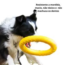 Argola, disco, frisbee voadora para cachorro Tamanho:M 28CM
