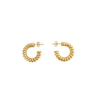 Argola Folheada Espiral