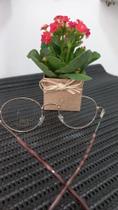 Armação de óculos VIP Armação de óculos VIP