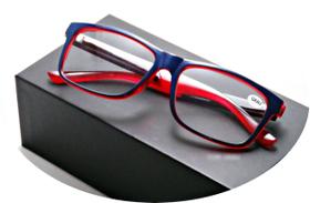 Armação Óculos De Leitura P01 Para Perto C/ Grau Masculino Feminino Completo - SHOP-1