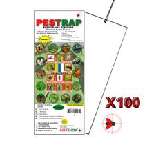 Armadilha Adesiva Pestrap Branca Insetos Alados 25x10 -100un Armadilha Adesiva Pestrap Branca Insetos Alados 25x10 -100un