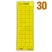 Armadilha Amarela Adesiva Quadriculada Contra Insetos Yellow Trap 30 unid Coleagro Armadilhas Controle de pragas Armadilha Amarela Adesiva Quadriculada Contra Insetos Yellow Trap 30 unid Coleagro Armadilhas Controle de pragas