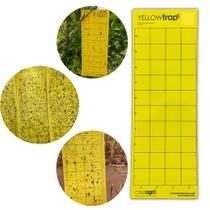 Armadilha Amarela Quadrículada Adesiva Contra Insetos e Pragas 20 unidades Armadilhas de Controle de Pragas
