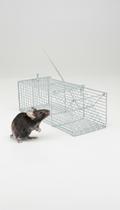 Armadilha Gaiola Para Capturar Ratos e Camundongos
