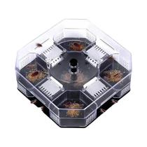 Armadilha Para Baratas De Cozinha Interna, Ferramenta De Captura De Insetos, Caixa De Morte Física