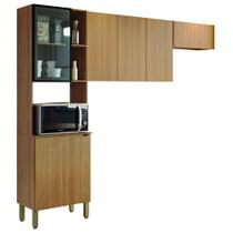 Armário de Cozinha Completa 6 Portas com Vidro e Nicho Para Micro Ondas Vert Plus Kit's Paraná