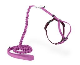 Arnês e Coleira Elástica PetSafe Come With Me Kitty para Gatos Grandes - Rosa Poeira/Bordô