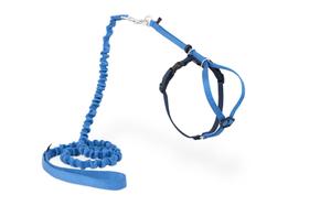 Arnês e Coleira Elástica PetSafe Come With Me Kitty para Gatos (Médio, Azul Royal/Azul-Marinho)