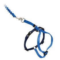 Arnês e Coleira Elástica PetSafe Come With Me Kitty para Gatos