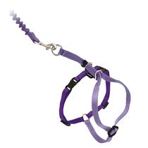 Arnês e Coleira Elástica PetSafe Come With Me Kitty para Gatos