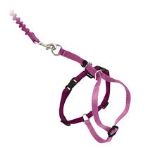 Arnês e Coleira Elástica PetSafe Come With Me Kitty para Gatos