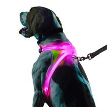 Arnês Iluminado para Cães Noxgear LightHound - Recarregável via USB Arnês Iluminado para Cães Noxgear LightHound - Recarregável via USB