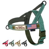 Arnês para cães Annchwool No Pull com alça macia acolchoada verde