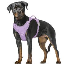 Arnês para cães BARKBAY No Pull Air Mesh Reflective XL Violet