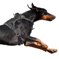Arnês para cães BUMBIN Tactical No Pull para cães grandes, preto XL Arnês para cães BUMBIN Tactical No Pull para cães grandes, preto XL