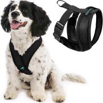 Arnês para cães Gooby Comfort X Head em preto para cães grandes Arnês para cães Gooby Comfort X Head em preto para cães grandes
