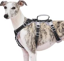 Arnês para cães Huntboo Escape Proof Refletivo Preto Médio Arnês para cães Huntboo Escape Proof Refletivo Preto Médio