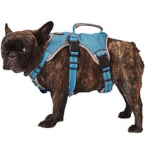 Arnês para Cães PAWORLD - Anti-Escape, Refletivo, Azul, Tamanho P