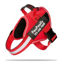 Arnês para cães PawPawify Custom No Pull com nome e telefone vermelho XL