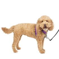 Arnês para cães PetSafe 3 em 1, sem tração, de ameixa refletiva - pequeno