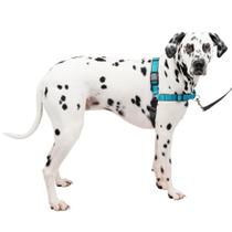 Arnês para Cães PetSafe Easy Walk Deluxe - Anti-Puxão - Tamanho Grande - Ocean