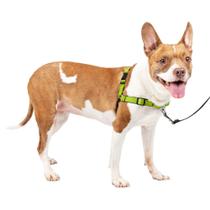 Arnês para cães PetSafe Easy Walk Deluxe No Pull Medium Apple Arnês para cães PetSafe Easy Walk Deluxe No Pull Medium Apple