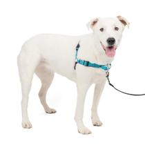 Arnês para cães PetSafe Easy Walk Deluxe No Pull Ocean M/L