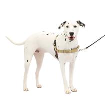 Arnês para cães PetSafe Easy Walk No Pull Fawn médio/grande Arnês para cães PetSafe Easy Walk No Pull Fawn médio/grande