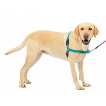 Arnês para cães PetSafe Easy Walk No-Pull Large azul/cinza Arnês para cães PetSafe Easy Walk No-Pull Large azul/cinza