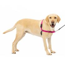 Arnês para cães PetSafe Easy Walk No-Pull Large Framboesa/Cinza