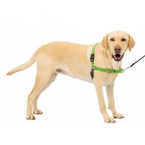 Arnês para cães PetSafe Easy Walk No-Pull Large verde maçã/cinza