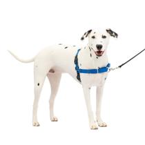 Arnês para cães PetSafe Easy Walk No-Pull médio/grande azul Arnês para cães PetSafe Easy Walk No-Pull médio/grande azul