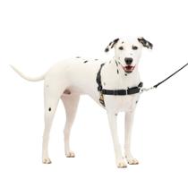 Arnês para cães PetSafe Easy Walk No-Pull médio/grande preto/prata Arnês para cães PetSafe Easy Walk No-Pull médio/grande preto/prata