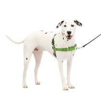 Arnês para cães PetSafe Easy Walk No-Pull médio/grande Arnês para cães PetSafe Easy Walk No-Pull médio/grande