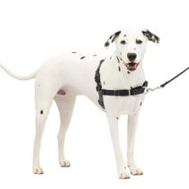 Arnês para cães PetSafe Easy Walk No-Pull médio/grande Arnês para cães PetSafe Easy Walk No-Pull médio/grande
