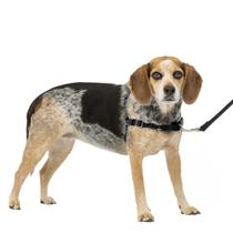 Arnês para cães PetSafe Easy Walk No-Pull pequeno/médio