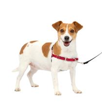 Arnês para cães PetSafe Easy Walk No-Pull pequeno vermelho/preto Arnês para cães PetSafe Easy Walk No-Pull pequeno vermelho/preto