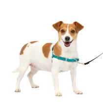 Arnês para cães PetSafe Easy Walk No Pull Small azul/cinza Arnês para cães PetSafe Easy Walk No Pull Small azul/cinza