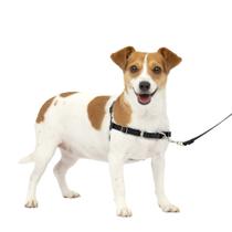 Arnês para cães PetSafe Easy Walk No-Pull Small Carvão/Preto Arnês para cães PetSafe Easy Walk No-Pull Small Carvão/Preto