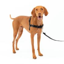 Arnês para cães PetSafe Easy Walk Stop Pulling Medium