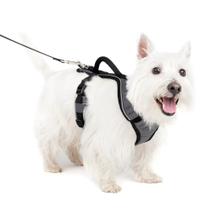 Arnês para cães PetSafe EasySport acolchoado ajustável pequeno