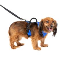 Arnês para cães PetSafe EasySport ajustável acolchoado azul XS Arnês para cães PetSafe EasySport ajustável acolchoado azul XS