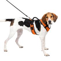 Arnês para cães PetSafe EasySport ajustável acolchoado laranja grande