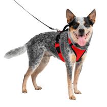 Arnês para cães PetSafe EasySport ajustável acolchoado vermelho médio