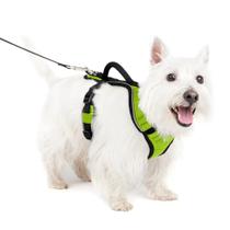 Arnês para cães PetSafe EasySport ajustável com alça de controle