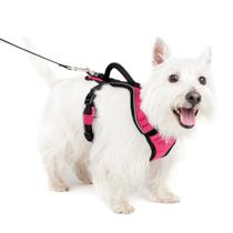 Arnês para cães PetSafe EasySport ESPH-S-PNK ajustável pequeno Arnês para cães PetSafe EasySport ESPH-S-PNK ajustável pequeno
