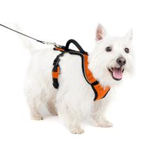 Arnês para cães PetSafe EasySport Orange ajustável pequeno